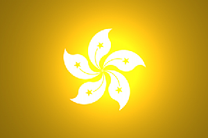大陸到香港物流,內地至香港貨運,物流到香港,香港物流專線